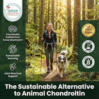 Vegan Glucosamine Chondroitin MSM Joint Support Supplement for Women and Men. Snow Mushroom Chondrotin Sulfate OptiMSM® Mobility, Cartilage & Flexibility Support Shellfish-Free, Non-GMO 120 Capsules