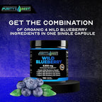 Purity’s Best Wild Blueberry Extract, Rich in Flavonoids & Anthocyanins, Antioxidant Support for Brain & Heart Health, 4-Month Supply, Non-GMO, 120 Vegan Capsules