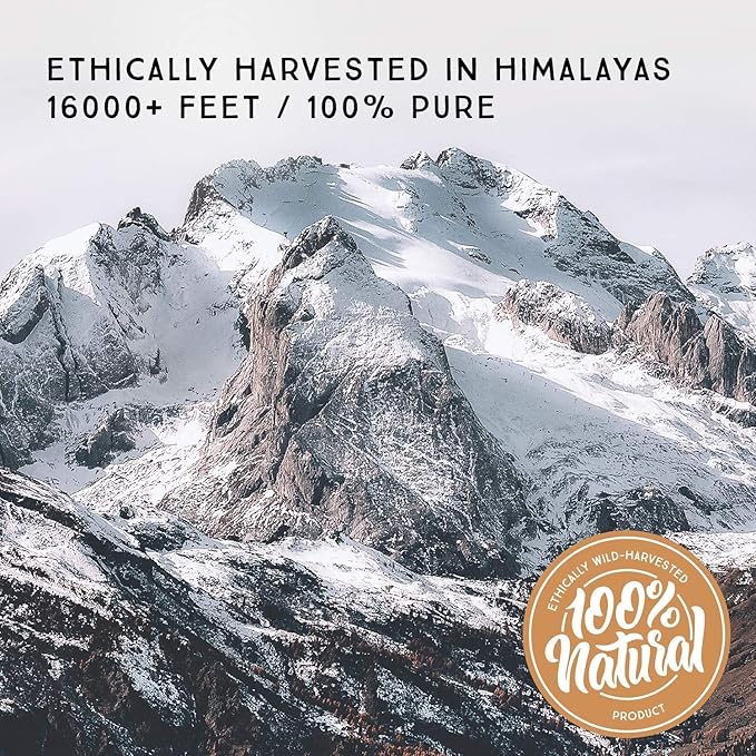 Pure Himalayan Shilajit, Original Solid, Excellent Source of Fulvic Acid & Trace Minerals, Widely Used in Ayurveda (8g, Pack of 1)