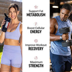 Force Factor L-Carnitine Liquid 3000mg, Maximum Strength Supplement to Support Fat Metabolism, Cellular Energy & Muscle Recovery, High Absorbing, Non-GMO, Berry Flavor, 16 oz Bottle