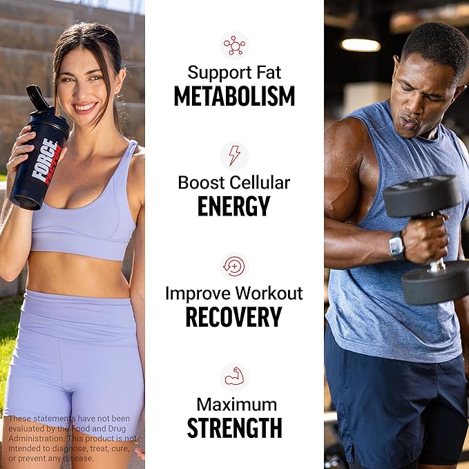 Force Factor L-Carnitine Liquid 3000mg, Maximum Strength Supplement to Support Fat Metabolism, Cellular Energy & Muscle Recovery, High Absorbing, Non-GMO, Orange Flavor, 16 oz Bottle