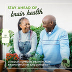 Swanson Luteolin Complex w/Rutin - Brain Support Supplement Promoting Memory, Mood & Cognitive Health - Natural Formula to Help Maintain Nervous System - (30 Veggie Capsules)