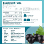 Hyland's Kids Organic Elderberry Plus Gummies, Organic Black Elderberry with ZINC and Vitamin C, Immune Support for Children, 48 Vegan Gummies (Pack of 2)