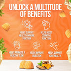 Curcumin Turmeric Gummies – 2000mg Turmeric Extract and Ginger Supplement Gummies – Vegan, Non-GMO, with Black Pepper – 60 Count – Peach Flavor – 30-Day Supply