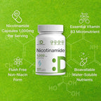 Vitamin B3 Nicotinamide 1,000mg Per Serving – 500 Capsules, Flush Free Niacin, Essential B3 – Supports Healthy Skin & Energy Production – Non-GMO